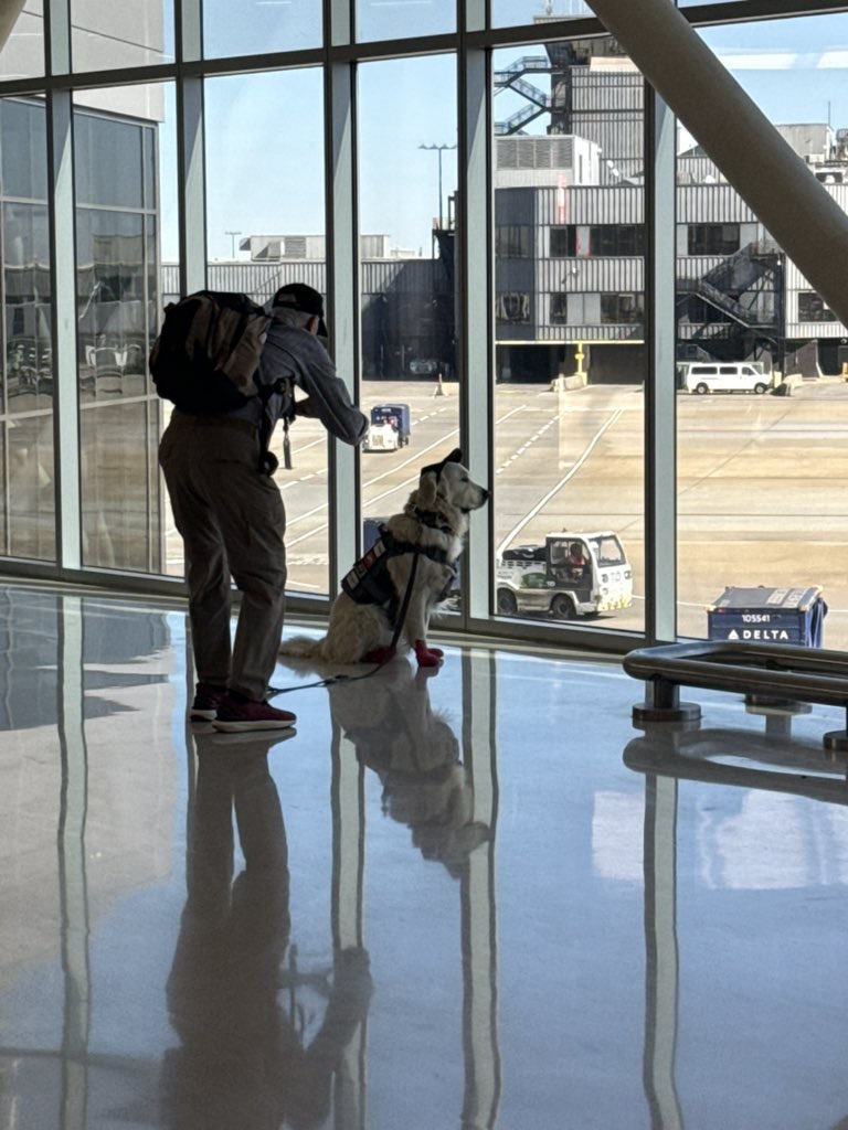 Saw this dog at the airport. His name was Oliver, and his hat said, “Oliver”. Felt important to share.