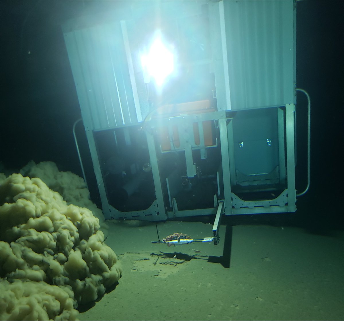 VictorVescovo's tweet photo. @MakeUSA_Great @NatureUnedited Well, here are some pictures I personally took at the bottom of Challenger Deep, 10,935 meters. Light does indeed cast about 25-35 meters even there. G'day. https://t.co/utw8jWuJgM