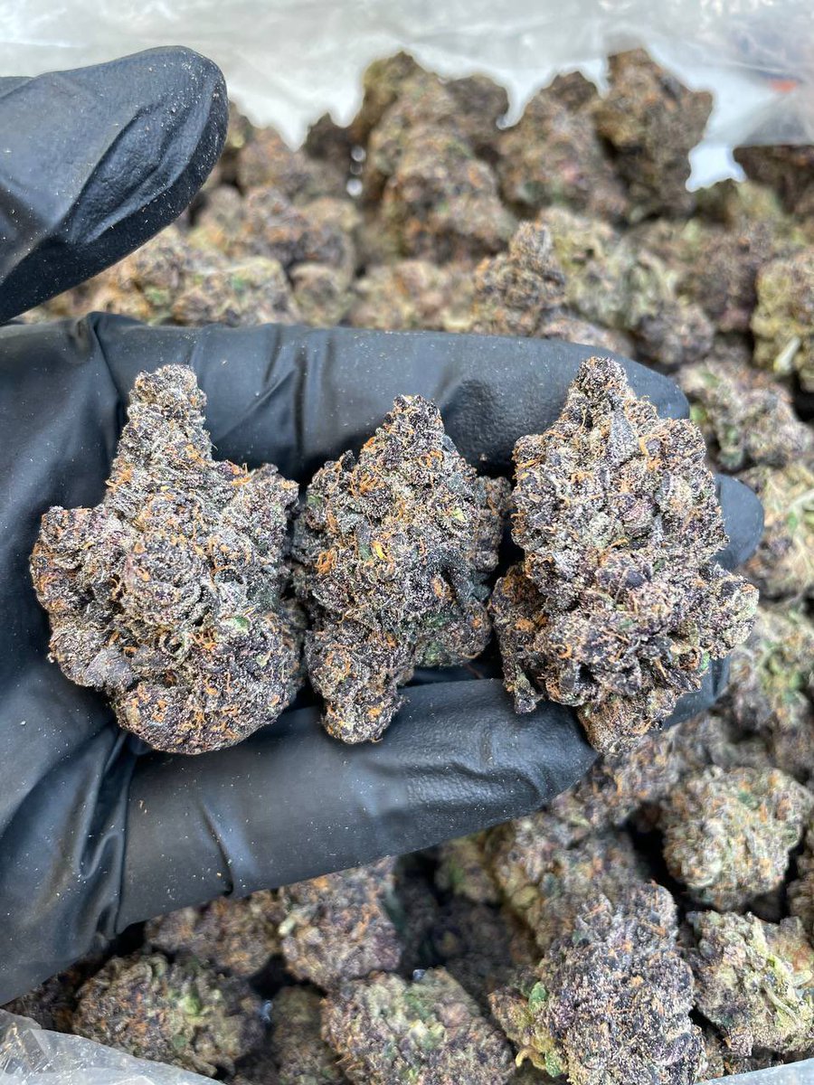 LiftedleafHQ's tweet photo. Sunset Sherbet https://t.co/tUSPmVB1Jq
