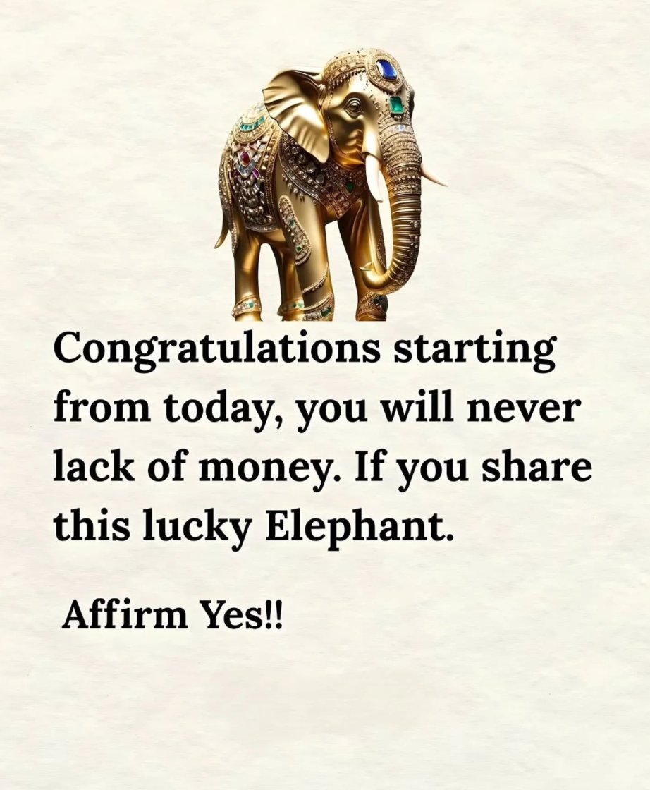 Affirm "YES"!!!