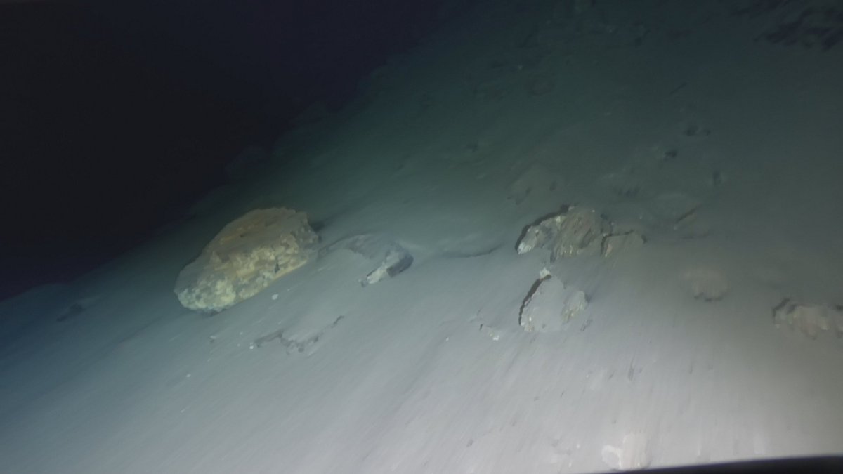 VictorVescovo's tweet photo. @MakeUSA_Great @NatureUnedited Well, here are some pictures I personally took at the bottom of Challenger Deep, 10,935 meters. Light does indeed cast about 25-35 meters even there. G'day. https://t.co/utw8jWuJgM