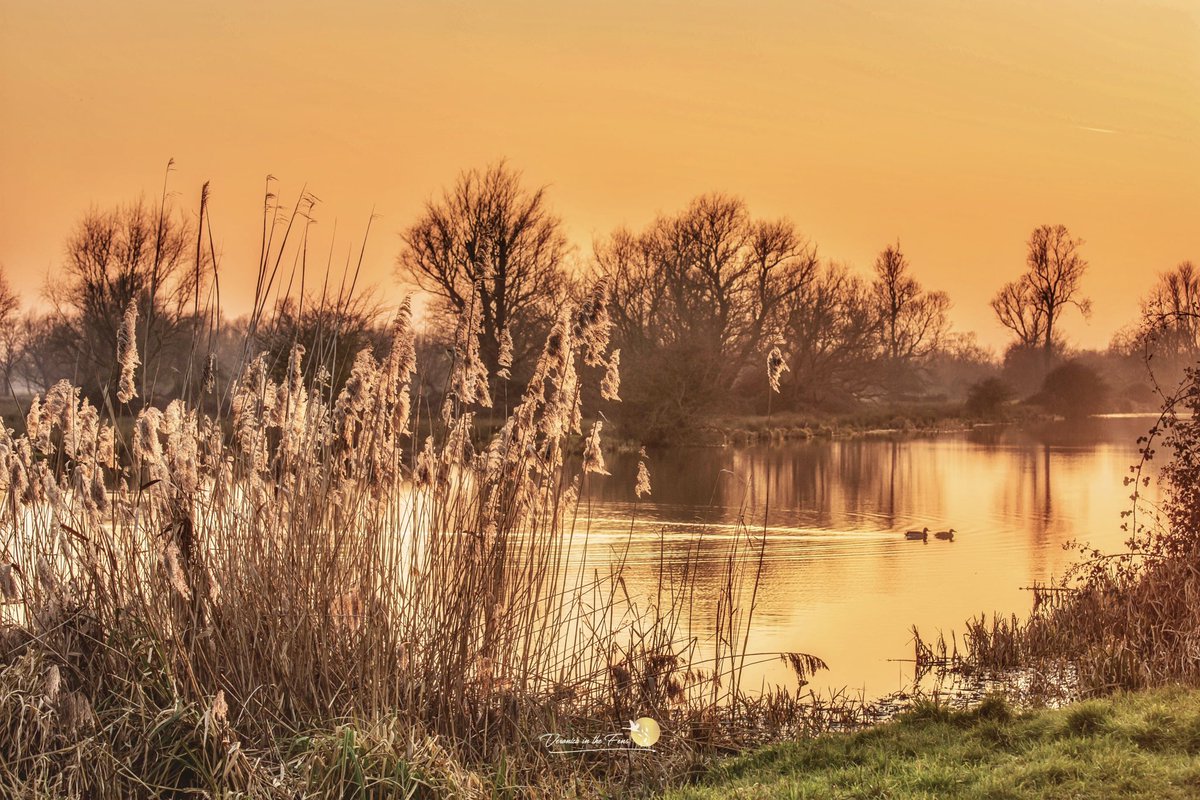 VeronicaJoPo's tweet image. A very warm and bright sunset in Ely from a February afternoon in the past. #Sunsets  #ElyCathedral #Firesky #February #beautifulsky