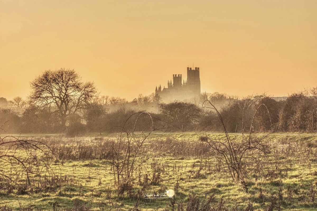 VeronicaJoPo's tweet image. A very warm and bright sunset in Ely from a February afternoon in the past. #Sunsets  #ElyCathedral #Firesky #February #beautifulsky