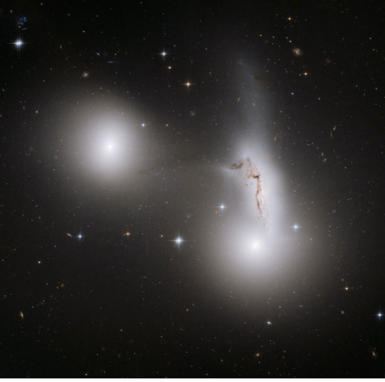 злая не русская девочка (@eni1605) on Twitter photo 