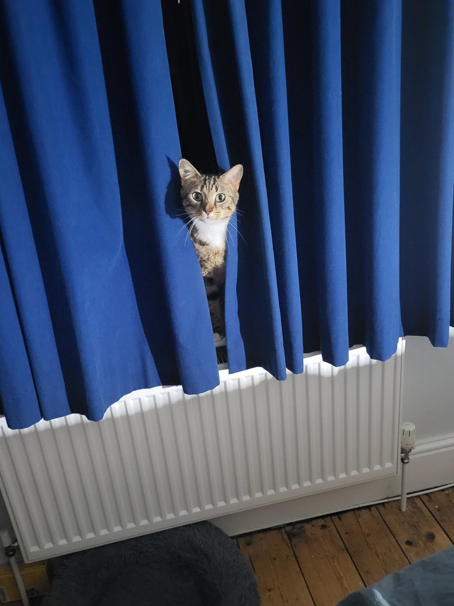 BarbaraQCrow's tweet photo. Watcha doing mum?
#Harryman https://t.co/PSlWYdbYz7