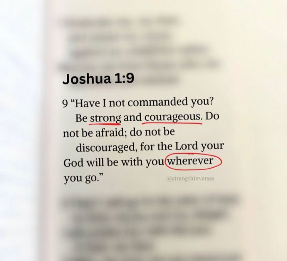 Bible 365 tweet media