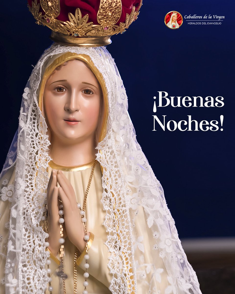 ¡Buenas Noches!⁣
⁣
¡Oh purísima Virgen María, que en Tu Inmaculada Concepción fuiste hecha por el Espíritu Santo como Tabernáculo elegido por la Divinidad...⁣
⁣
¡Ruega por nosotros y haz que el Divino Espíritu Santo venga pronto a renovar la faz de la Tierra!⁣