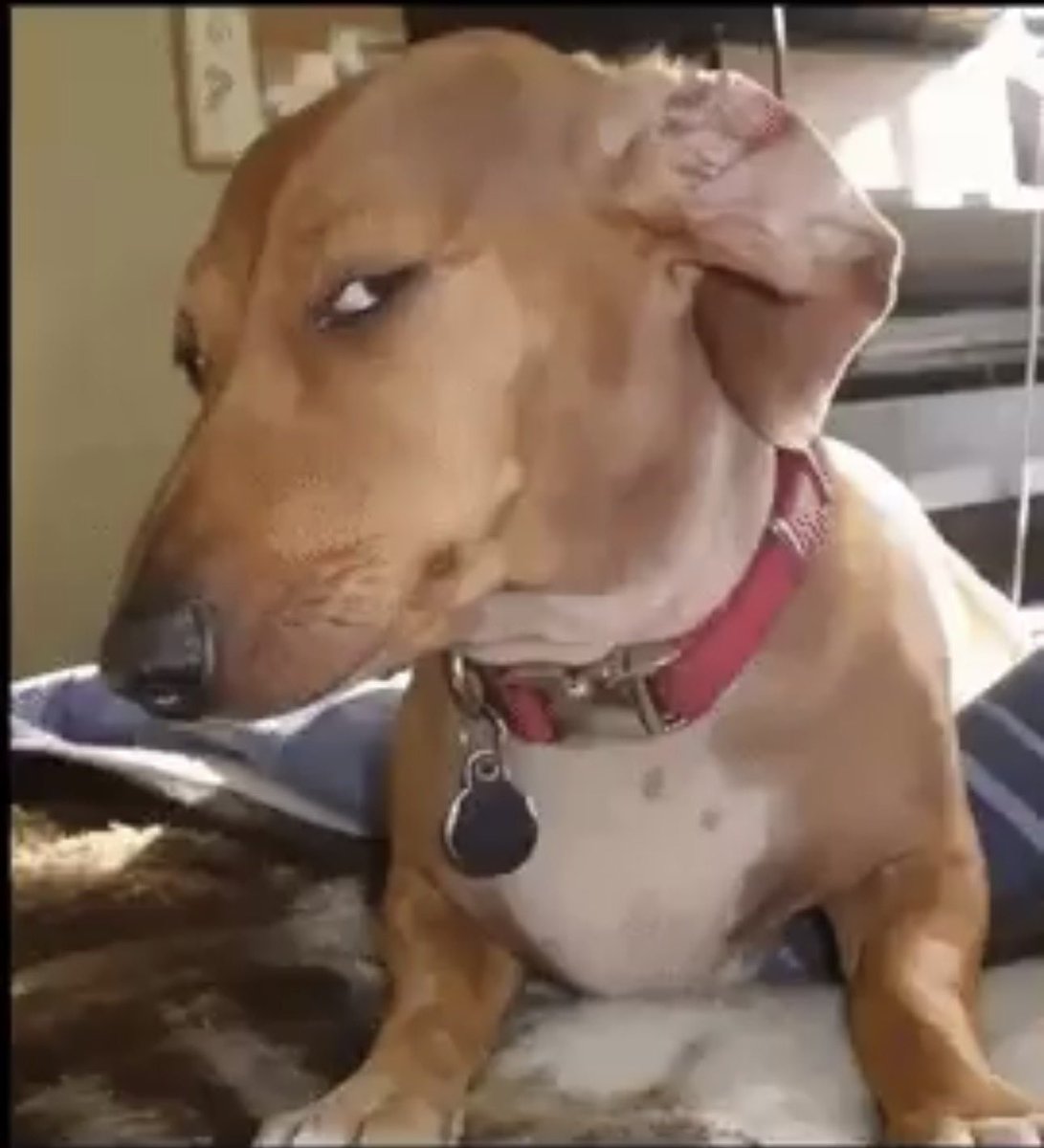 gotemsneakicks tweet media