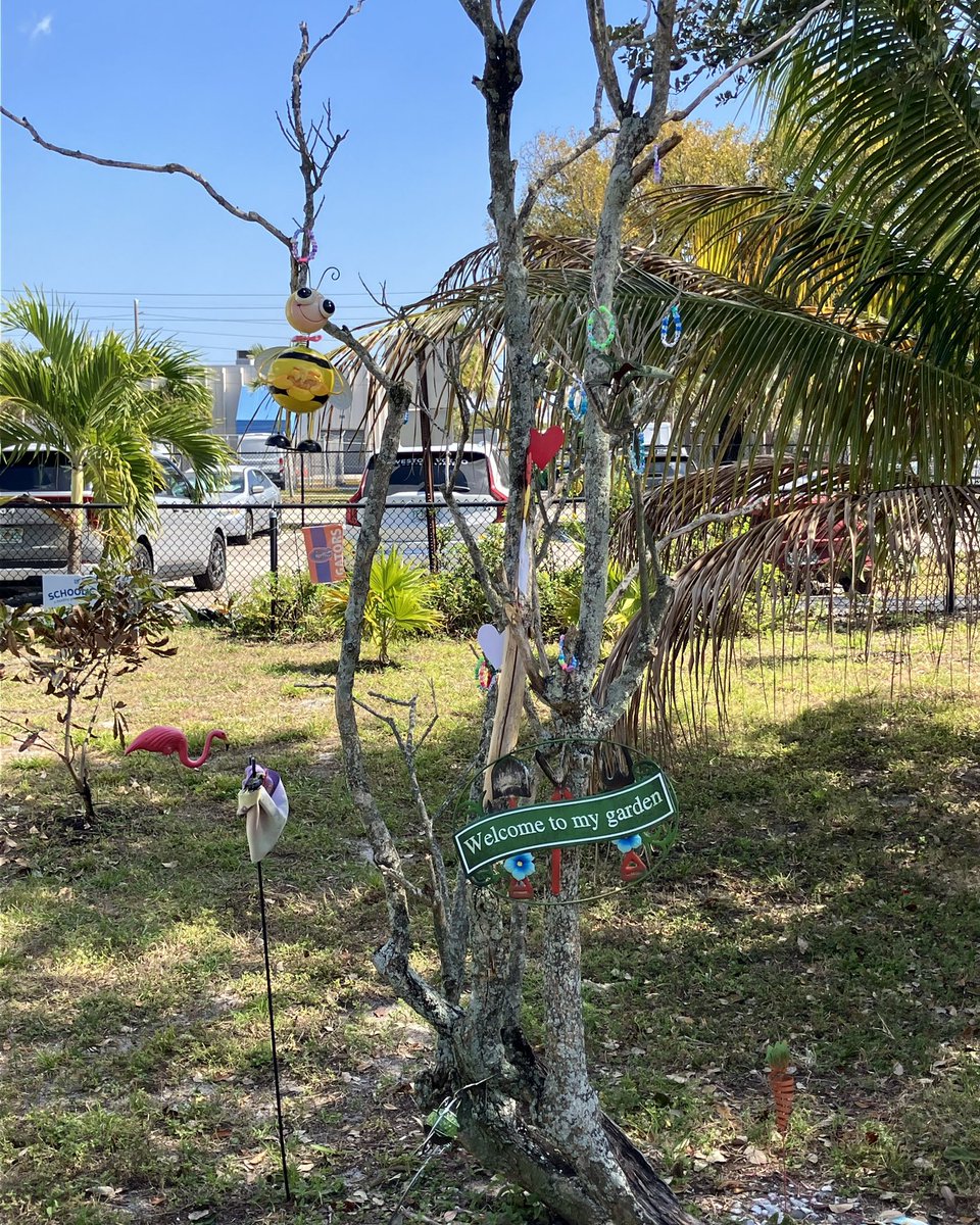 SeagullALTHS tweet media