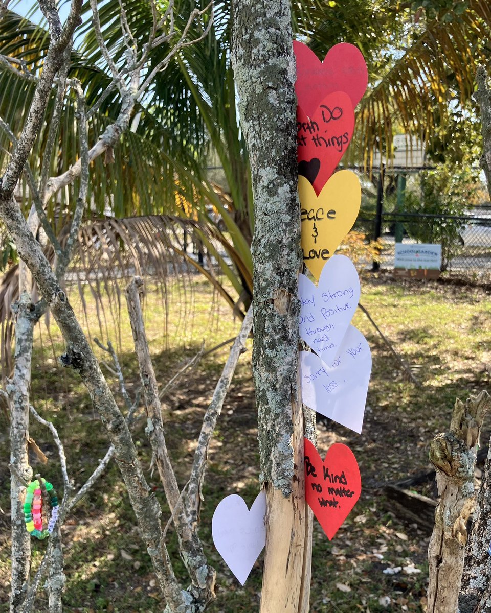 SeagullALTHS tweet media