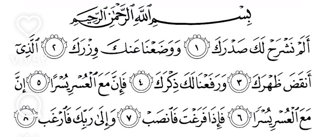 مروءة امرأة tweet media