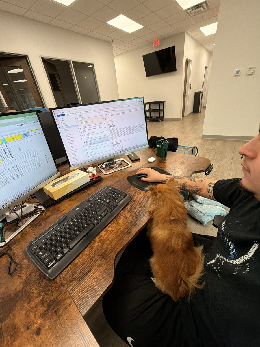 Office Companionship