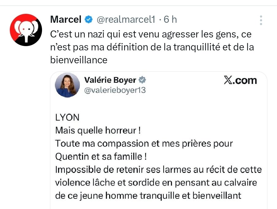 En 1933, quand les SA et les SS assassinaient les juifs, ils disaient qu'ils l'avaient mérité !

93 ans après, l'extrême gauche tue à Lyon.
Et ses complices crachent sur la tombe...