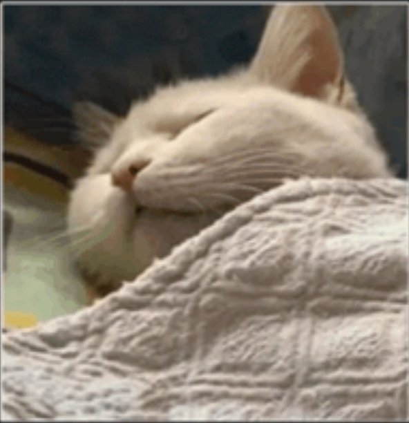 Devchart 👨🏻‍💻 tweet media