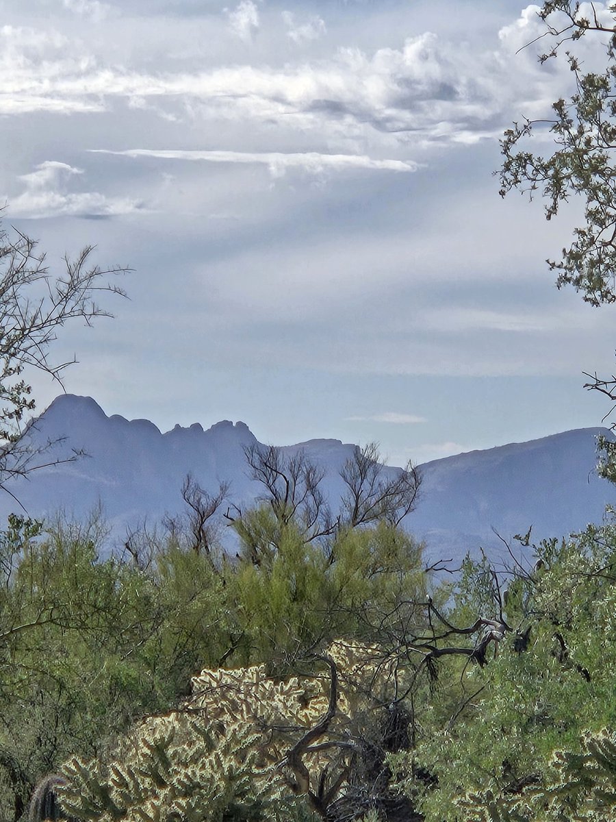 Rob McMullen tweet media