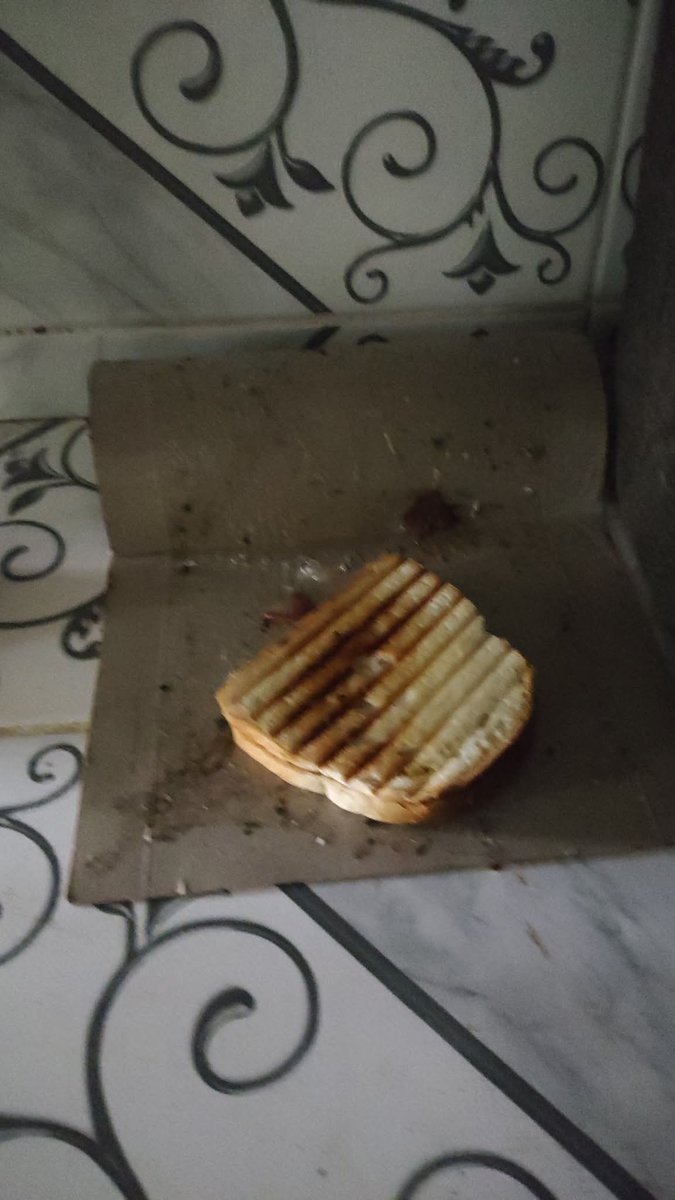 Meu misto caiu em cima do cola-rato