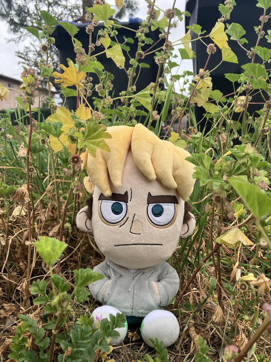 Erica Wester tweet media