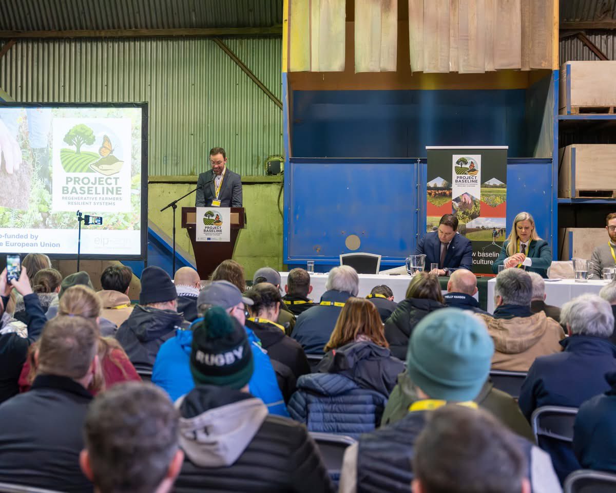 Project BASELINE tweet media