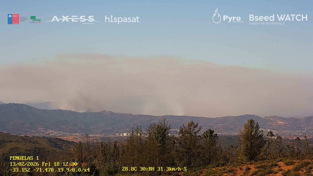 Pyrofire tweet media