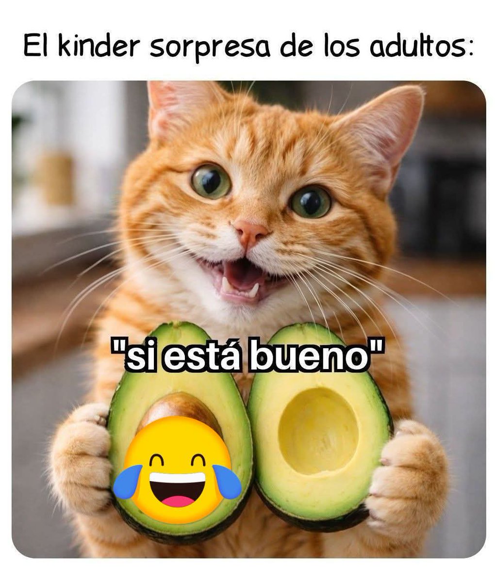 TuzitaMemeX (@tuzitaxtuitera) on Twitter photo 