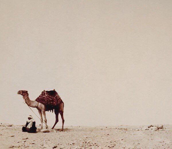 AdelAliBinAli's tweet photo. طافَ أعرابيٌّ بالبيتِ ثم صلى ركعتين ونهضَ
فقيلَ له : 
ما لكَ حاجة إلى الله ؟
فقال : بلى وقد سألته !
قيل : وما قلتَ ؟ 
قال : 
قلتُ اللهم إنكَ قد أحصيتَ ذنوبي فاغفِرْها وعلمتَ حاجتي فاقضِها ! https://t.co/V8SkzW0zBR