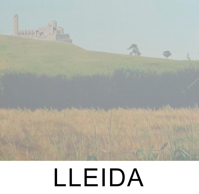 toi toi (@elpolyklin) on Twitter photo 