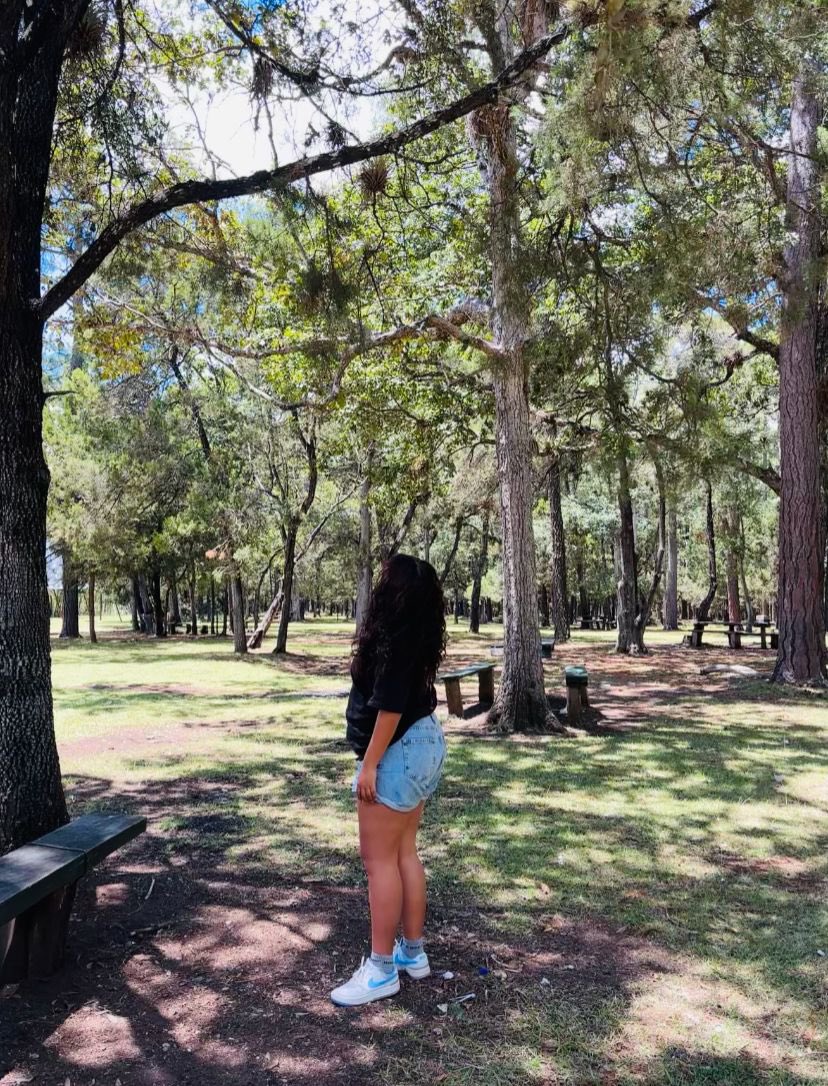 Lizza Sarguth tweet media