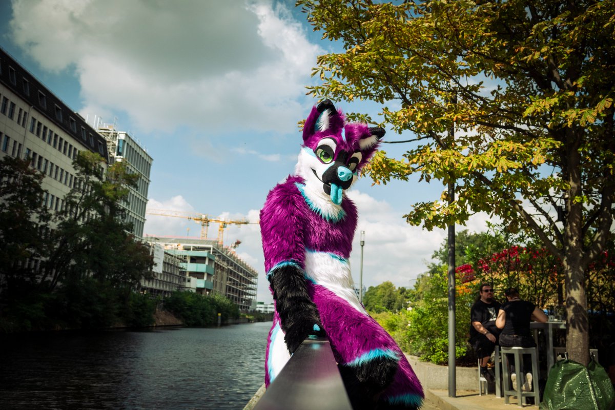 Purple Dog ✈️TFF tweet media