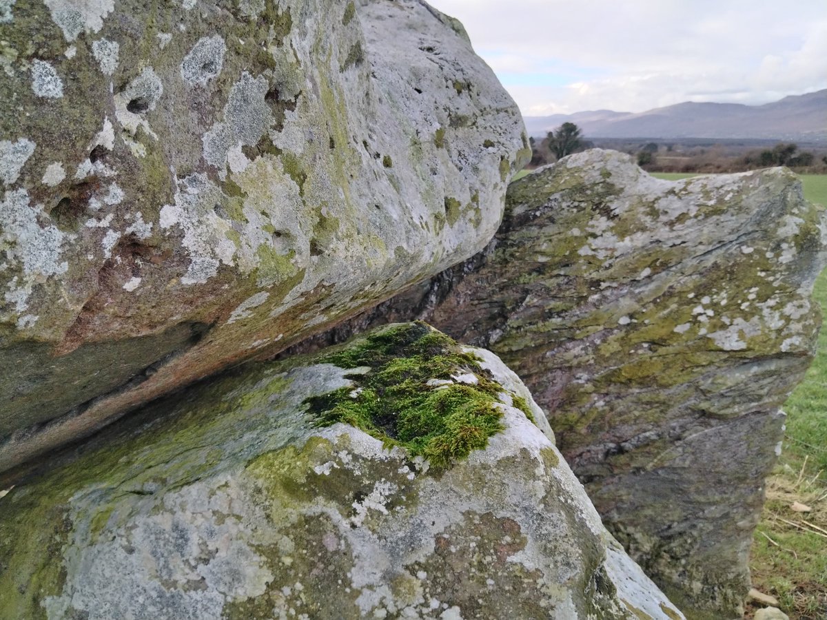 AlexDeL1974's tweet image. #moss , #stone, #standingstone , #Killaclohane, #PortalTomb ,☘️🪨🔥🤘