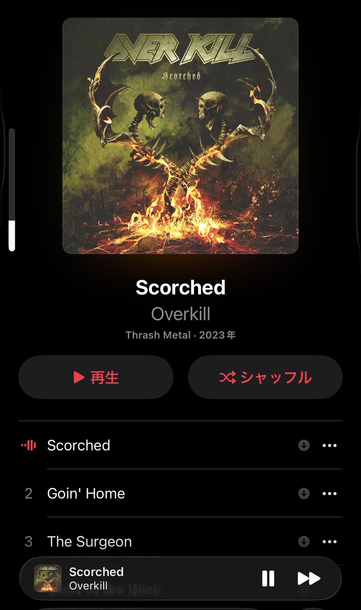 thrashe30536600's tweet image. おはようございます。

今日は、まだまだ大人気な様子のOVERKILLの今の所の最新作でスタートします😊

もうそろそろライヴを観たいものです…。

#Overkill