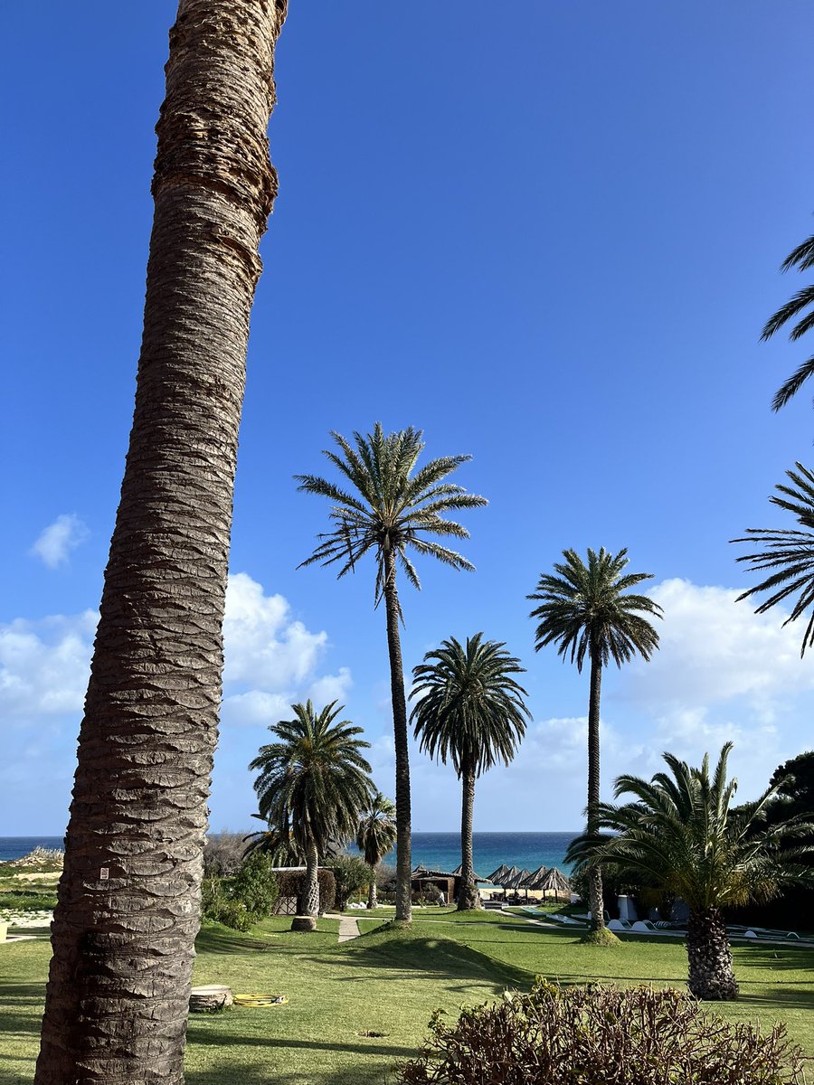 helsvarc's tweet image. Well, an unexpected stopover in Porto Santos Madeira .. what a little jewel of an Island 🩵💎
Beautiful beaches 😍🔆 
#unscheduled #nightstop #crewlife 🛫🛬