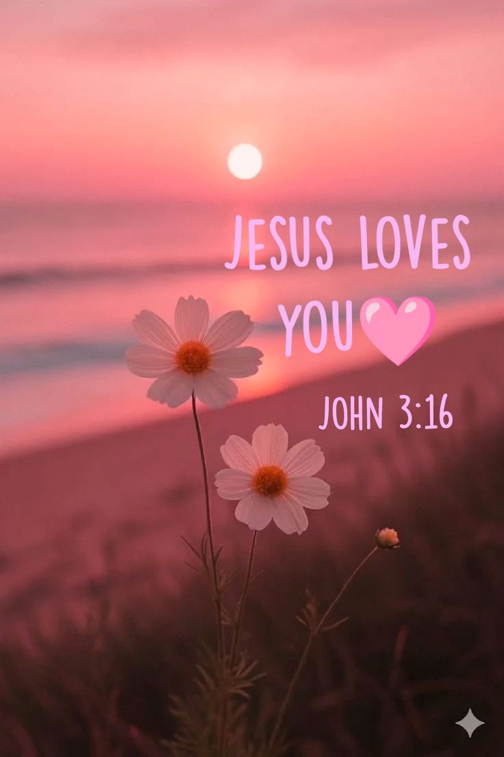 Kristy Williams tweet media