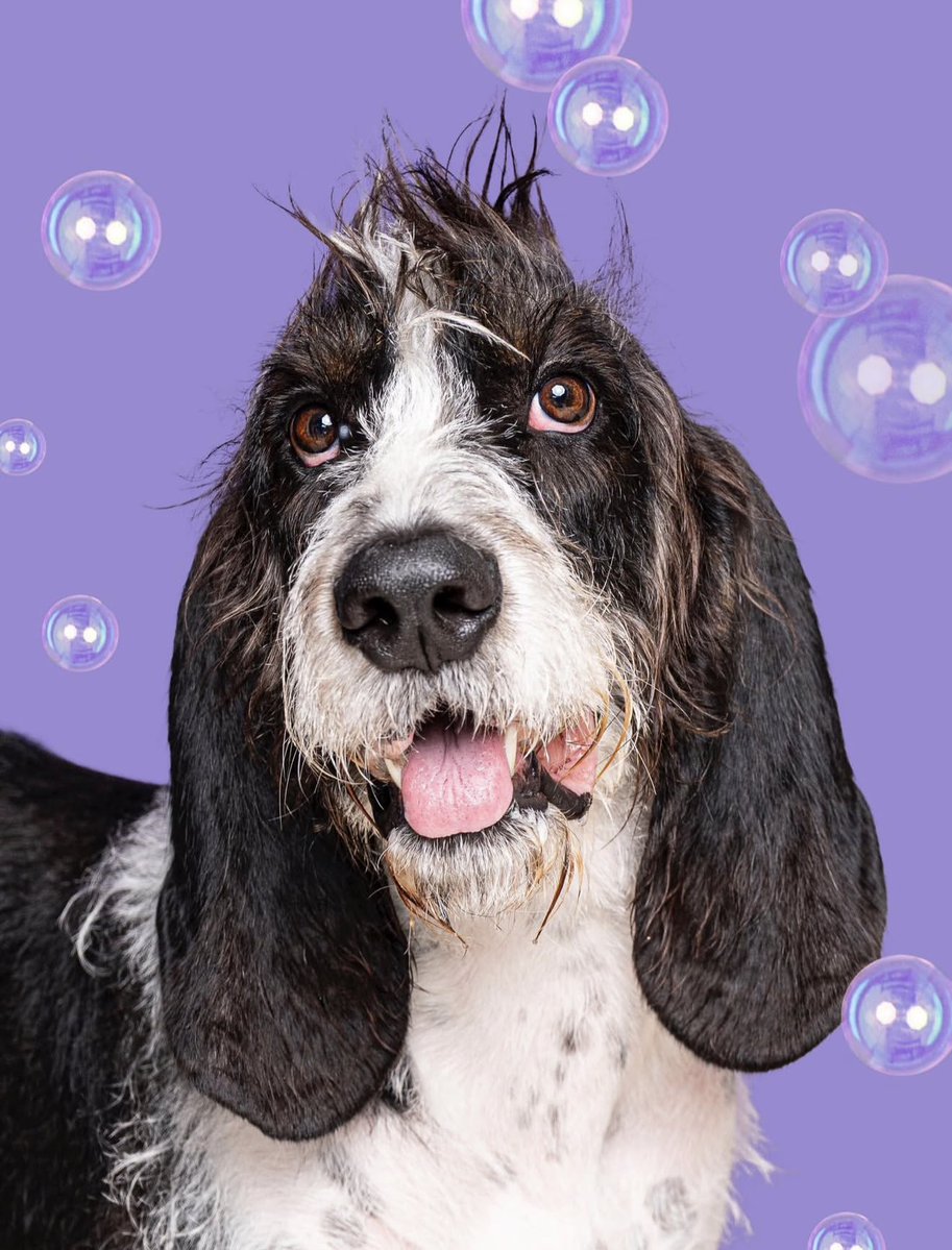 Colombia tweet media