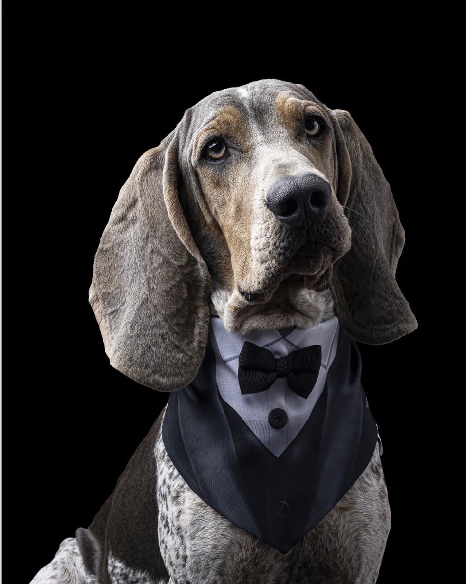 Colombia tweet media