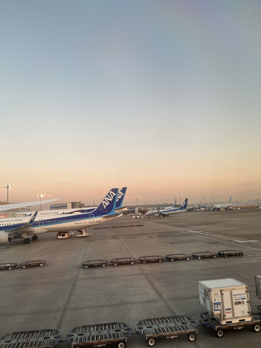 koppe34R's tweet photo. (35)HND✈︎OKA
修行僧の朝は早い…言葉の通りです💤
修行僧は常に寝不足っていうのも間違いじゃないかも。#ANA #SFC #OKA https://t.co/neXup0An3O