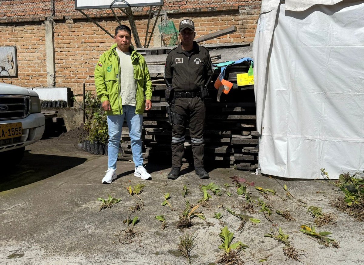 Dirección Zonal 1 MAE Imbabura - Carchi tweet media