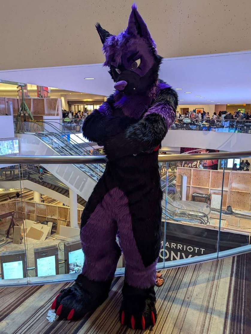 Kage Wolf 🔜LVFC2026 tweet media