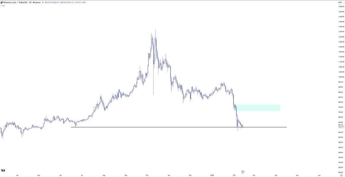 criptojey's tweet image. $bnb good spot for a bounce