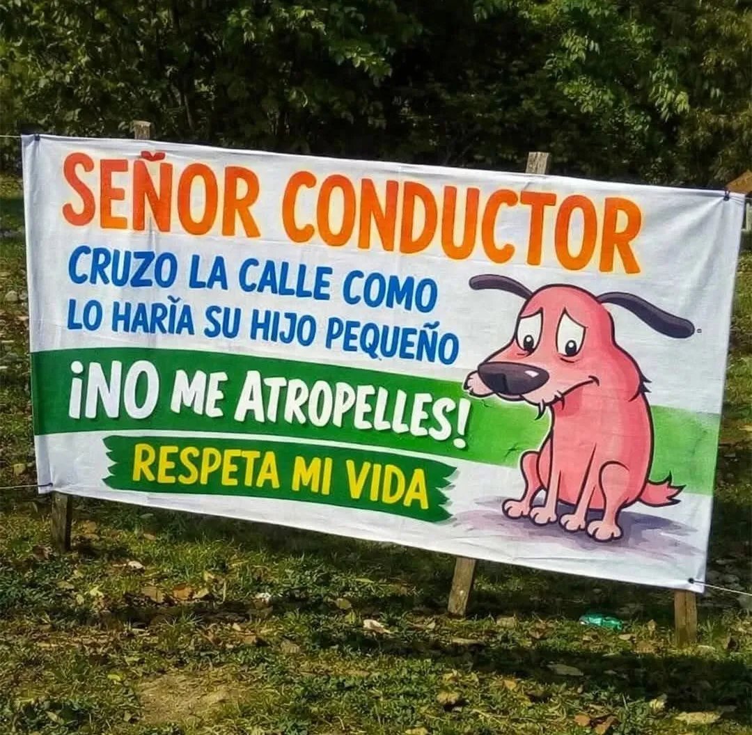 Respetemos sus vidas.