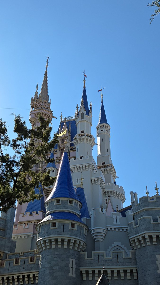 A look at the progress on the Cinderella Castle repainting.