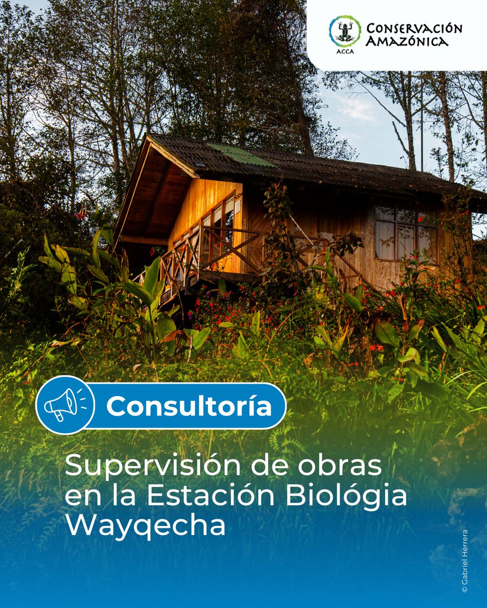 Conservación Amazónica - ACCA tweet media