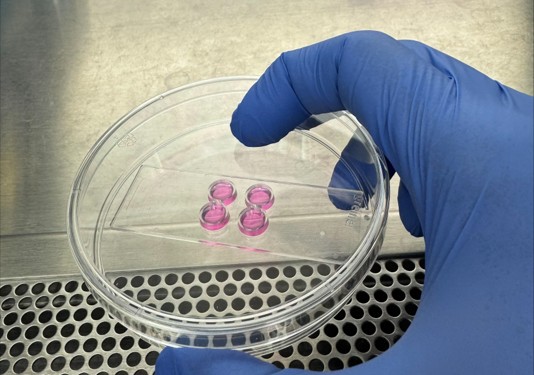 Telias Lab tweet media