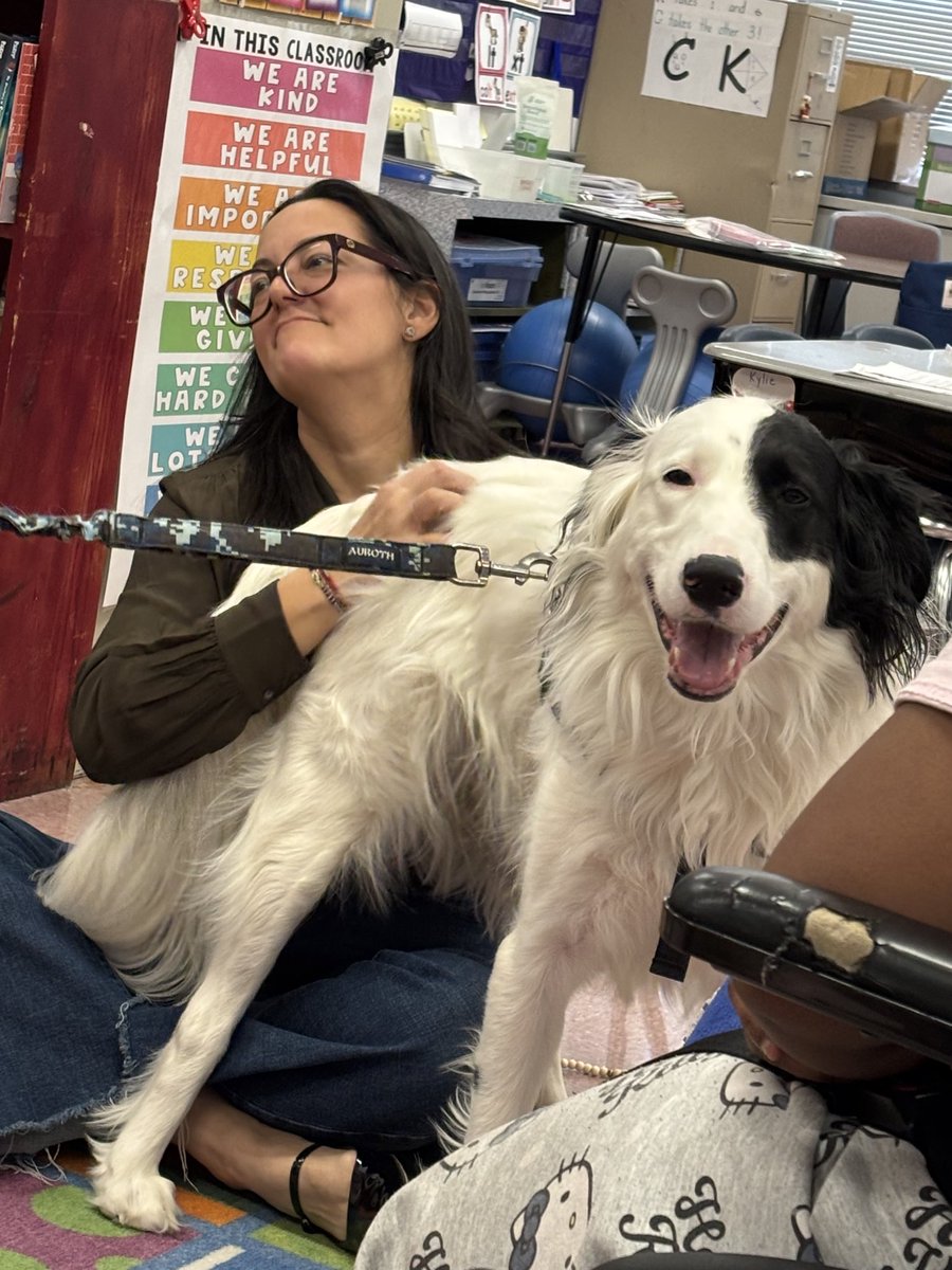 Students and staff were able to read to therapy dogs and just get in a good scratch and unwind. <a href="/ASPCA/">ASPCA</a> <a href="/MTPSNJ/">Marlboro Twp Schools</a> ❤️