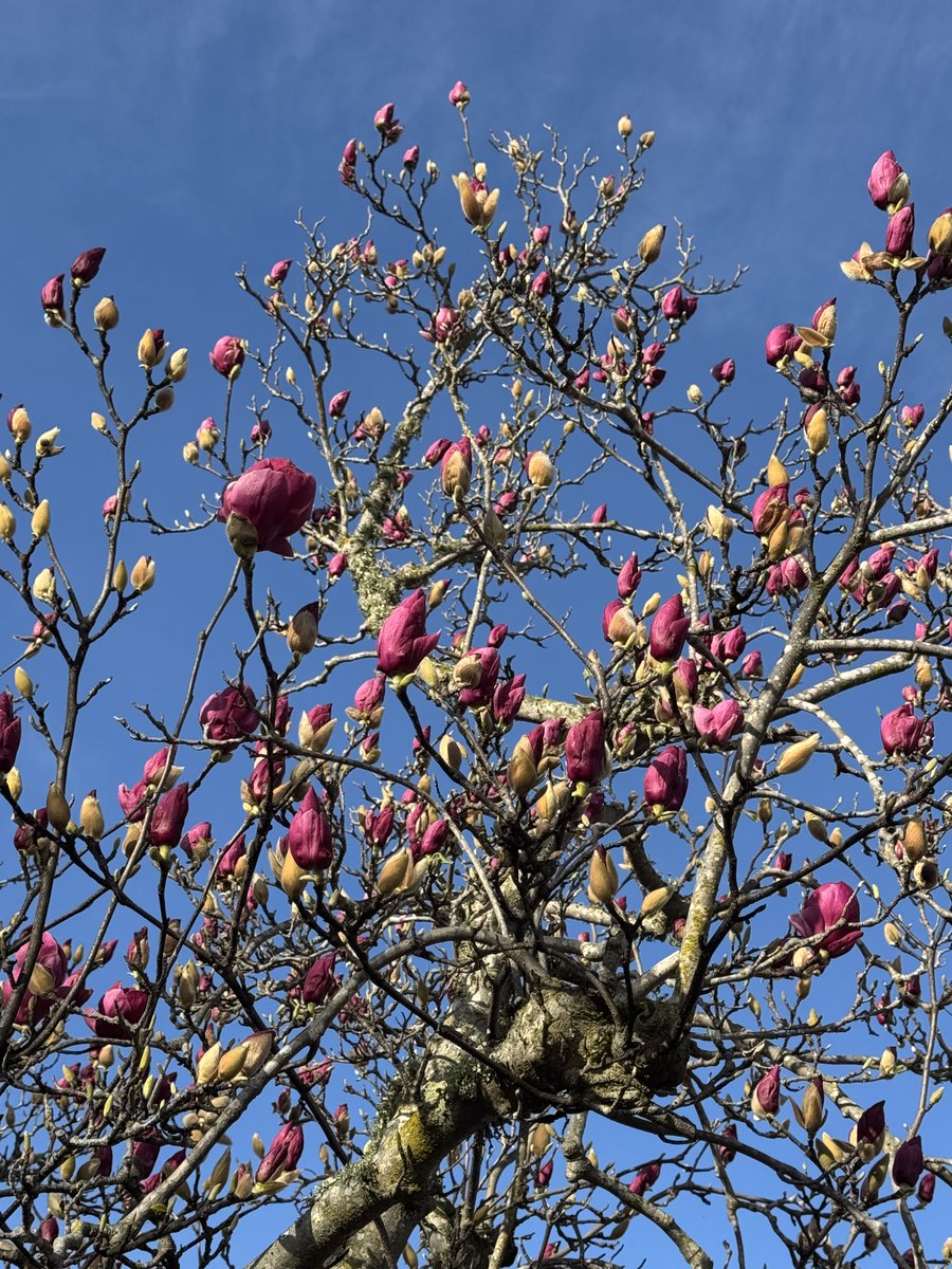 Alena Prokharchyk tweet media