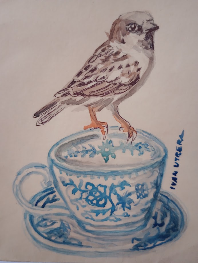 ivanutrera's tweet image. pajaro en acuarela
