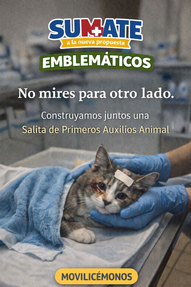 La_Voz_Emblemática tweet media