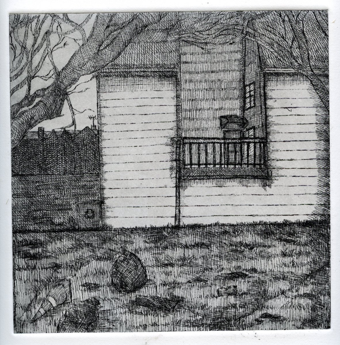 marimeko tweet media