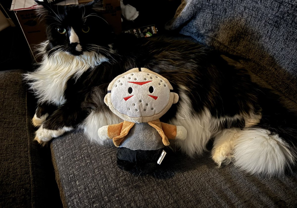 Joe Stone tweet media