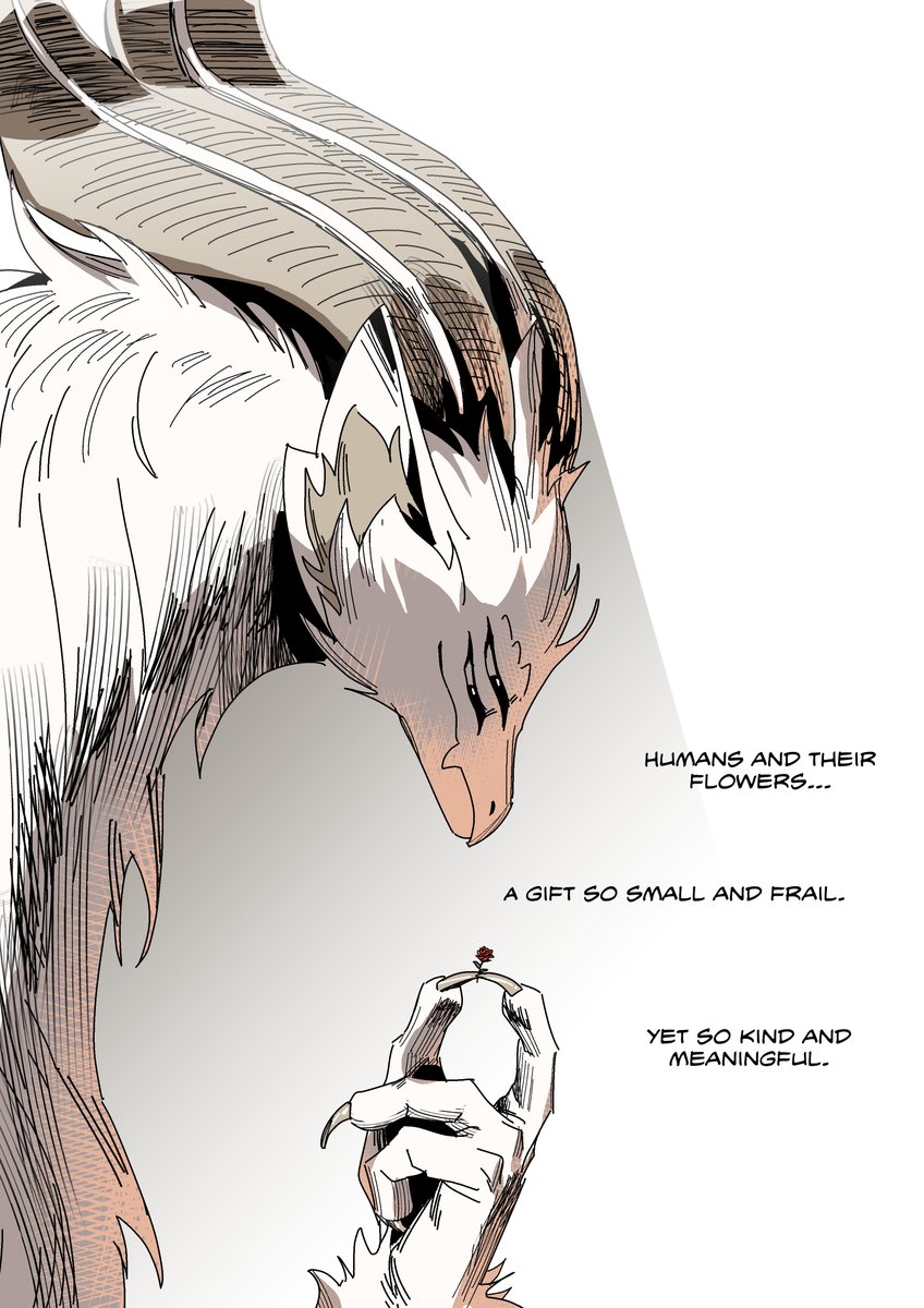 Dove&Crow tweet media