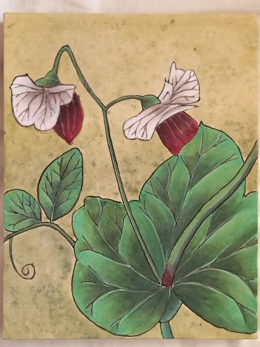 こないだ通販で買った馬利牌中国画顔料で描いたさやえんどう🫛の工筆画